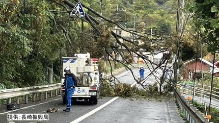 暴風の影響か 高さ約12mの木が倒れ国道ふさぐ 上下線全面通行止め 電線