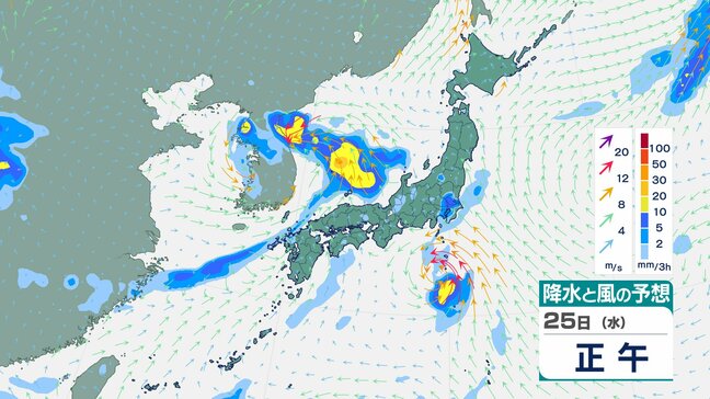 東海地方 多いところで1時間に60mmの降水予想 25日昼前にかけ激しい雨 土砂災害に厳重警戒を【雨風シミュレーション】|TBS NEWS DIG
