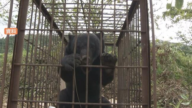 【クマ】猟銃使用に新ルール”改正鳥獣保護管理法”が施行 熊対策の決め手になるか?有識者の見解とは?今後は市町村の判断で使用可能になるも…(山形)|TBS NEWS DIG