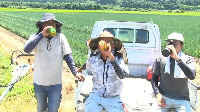 「もう耐えられない」きょう1日も暑い!35度以上の猛暑日で農家も悲鳴　鹿児島|TBS NEWS DIG