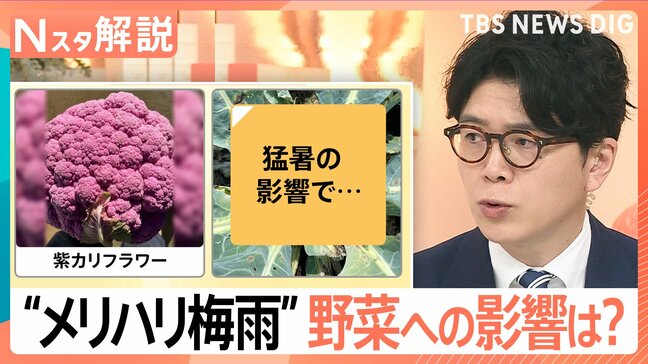 異例の猛暑　今年の梅雨は「大雨と猛暑を繰り返すメリハリ型」甘みがアップする野菜は？【Nスタ解説】|TBS NEWS DIG