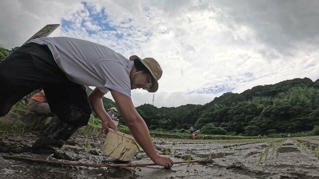 高いと思っていた日本のコメ「今までが安すぎたのかも」　応募が殺到した”棚田オーナー”で消費者が気づいたこと|TBS NEWS DIG
