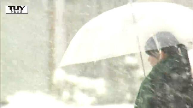 大雪が影響か…期日前投票をした人が前回同期比で2割少なくなる（山形）|TBS NEWS DIG