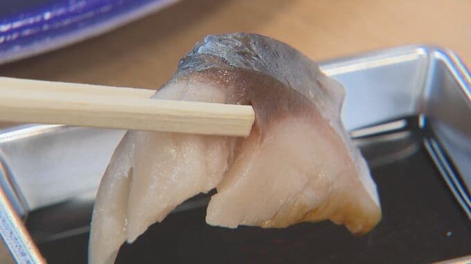 刺身OK「さばみちゃん」　地下海水で養殖　街の特産品として販売　|　BSSニュース | BSS山陰放送