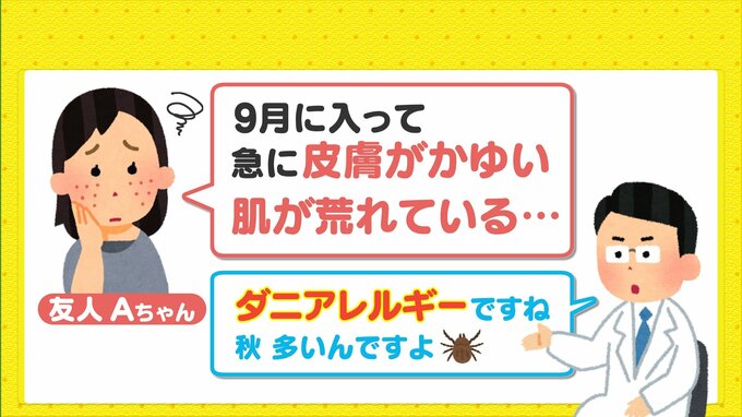 その皮膚のかゆみ･肌荒れやせきの症状… ダニが原因かも　秋に多い「ダニアレルギー」に要注意|TBS NEWS DIG