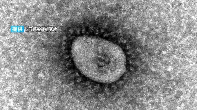 新型コロナ感染者　鹿児島県は「5類移行」以降、最多更新　|　鹿児島のニュース｜MBC NEWS｜南日本放送