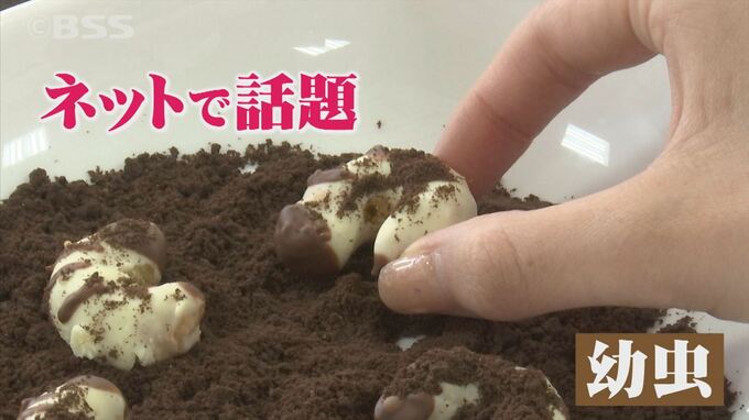「え？食べ物ですか？」ネットで話題！インパクト大な手作りチョコを作ってみた　|　BSSニュース | BSS山陰放送