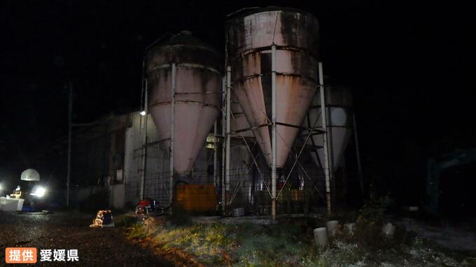 愛媛県内の養豚場では初の「豚熱」 処理が完了　|　愛媛のニュース - Nスタえひめ｜あいテレビは6チャンネル