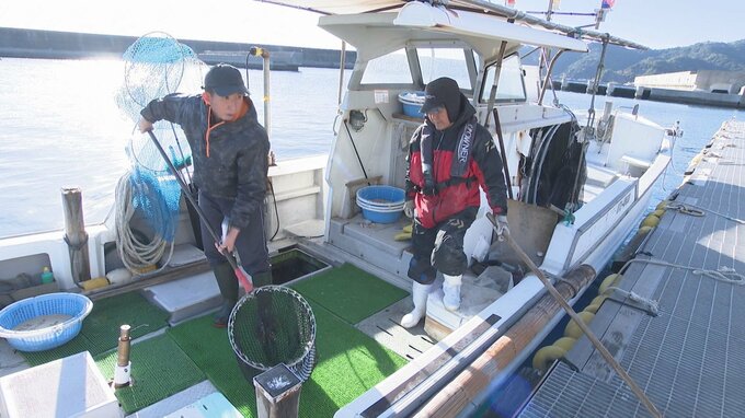 大規模火災の佐賀関 年末年始用の魚出荷はじまる 大分　|　大分のニュース｜OBS NEWS｜大分放送