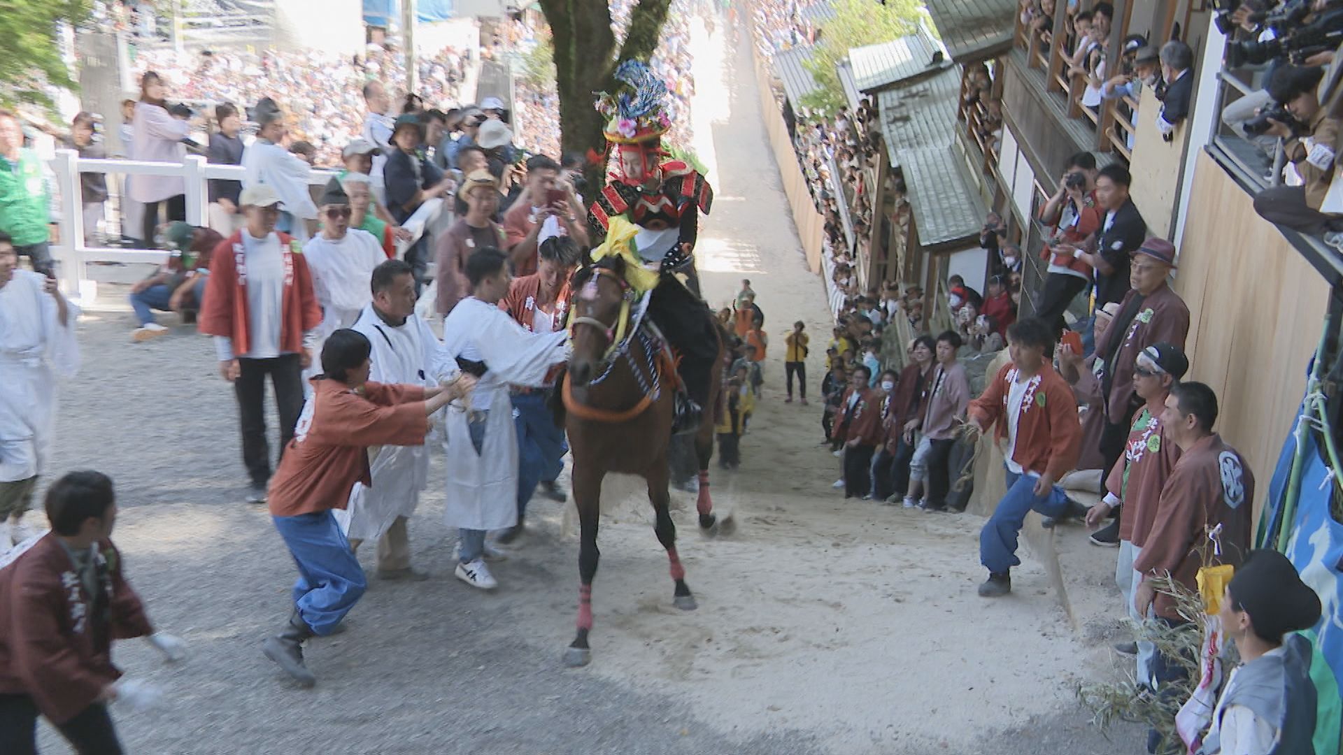 動物虐待との批判受けた「上げ馬神事」　方法改め2日目も全頭けがなく上り切る