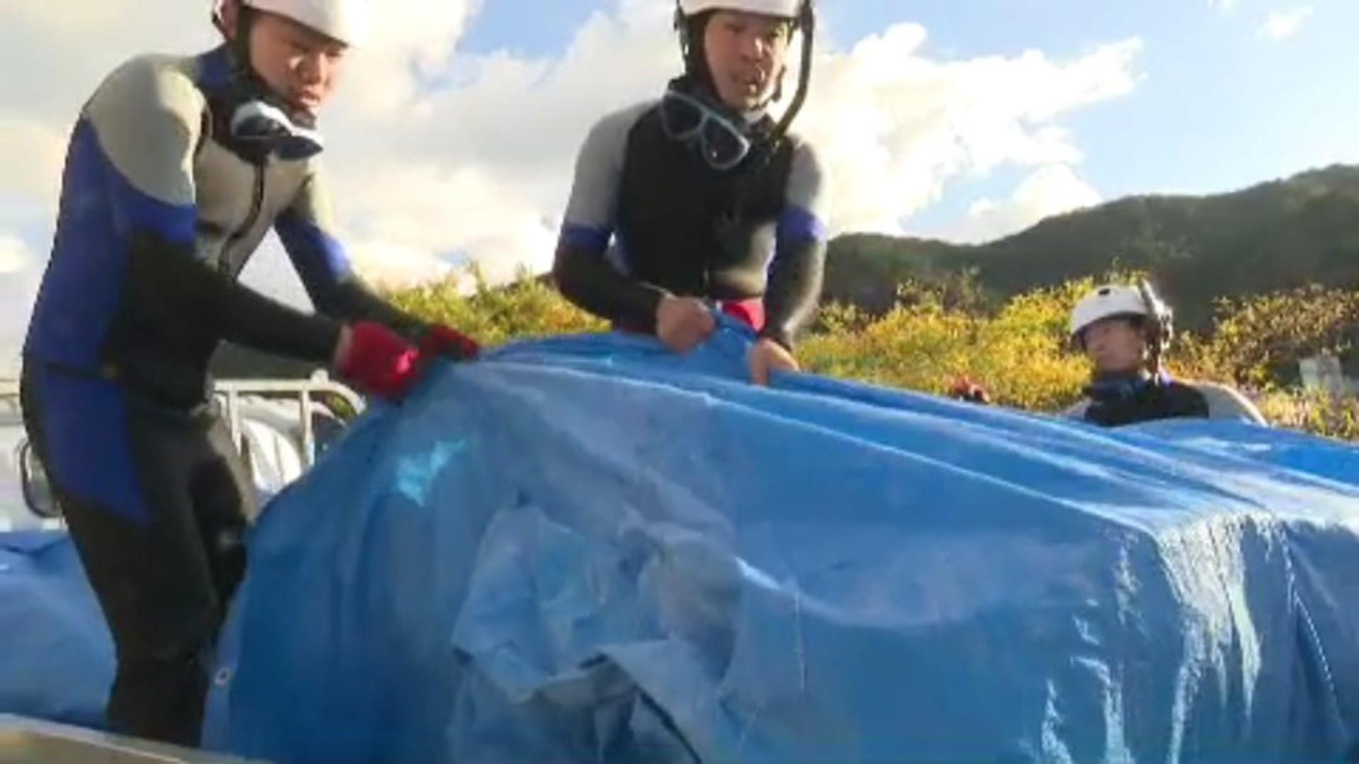 ヘク男　内海 ヘク男 | TheArth＿six