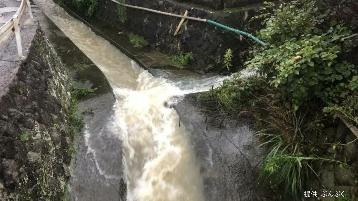 増水した川のぞき込み転落　小学生男児が濁流にのみ込まれ1.2キロ流される　自力で川岸につかまっているところ発見　長崎市 | TBS NEWS DIG