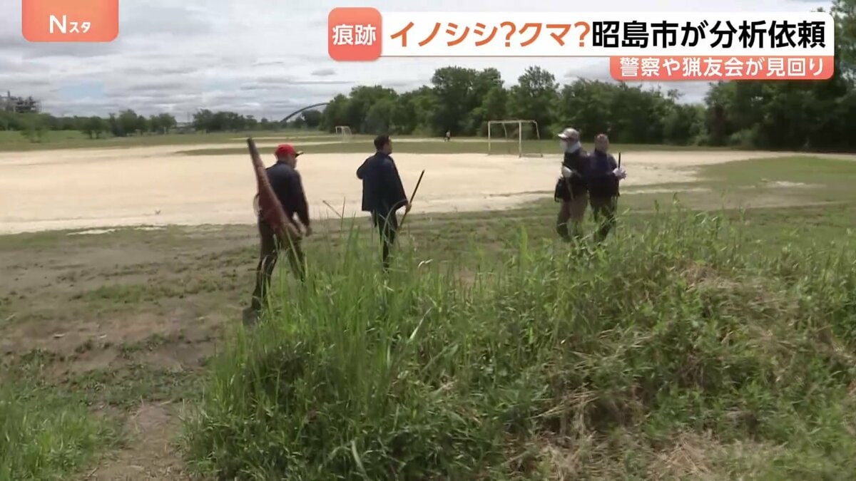 昭島市 クマ