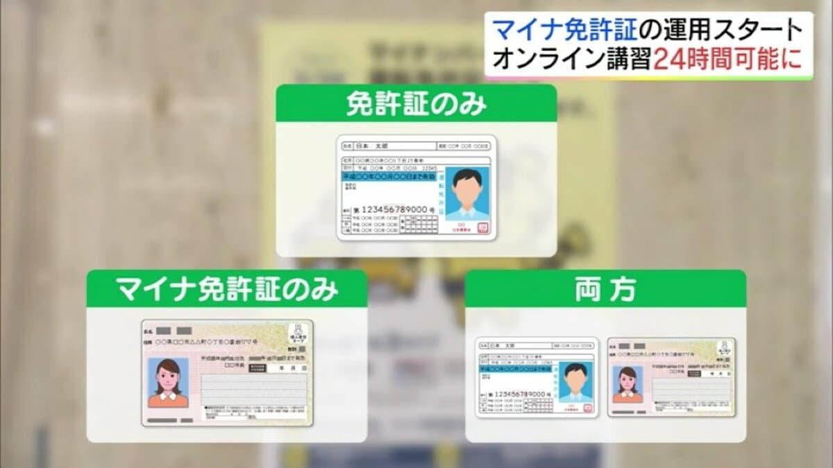 免許 証 緑