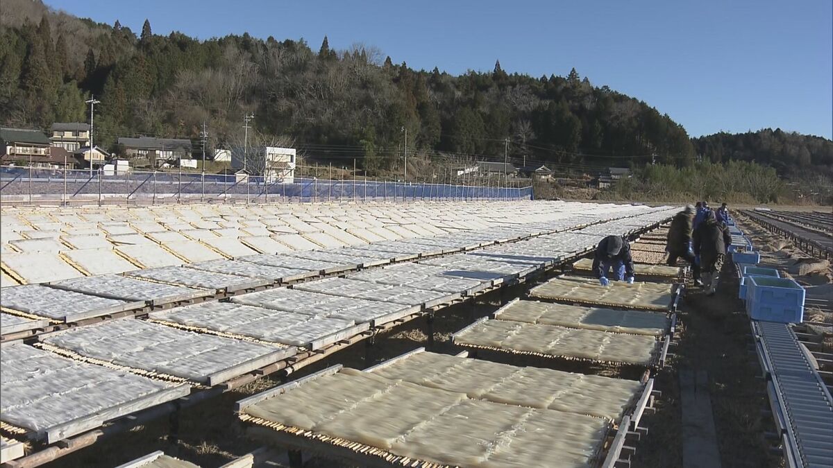 特産の“細寒天づくり”最盛期 岐阜･恵那市は全国シェアの約8割占める 今季一番の冷え込みで｢きょうは寒天日和｣