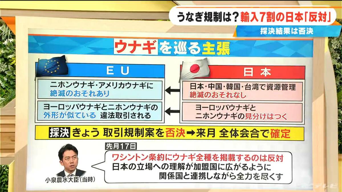 ”不服”の場合 12月5日に再投票 ウナギを巡る“国際規制”の動きまとめ 今年は｢シラスウナギ｣の取り引き価格去年の半分 もし“規制”されていたら再び跳ね上がっていた恐れも