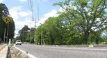 「体長60センチくらいの子グマがいる…」と警察に通報…長野・松川村の県道で目撃、村は捕獲用おり設置…近くの県道沿いには美術館や温泉施設、観光客が多いエリア…クマは見つからず|TBS NEWS DIG