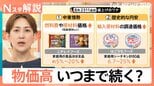 3年ぶり“4500品目超”の値上げラッシュに 深刻な物価高いつまで続く【Nスタ解説】|TBS NEWS DIG