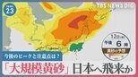 「大規模黄砂」12日にも日本へ飛来か…北京では“危険”レベル 今後のピークと注意点は?【news23】|TBS NEWS DIG