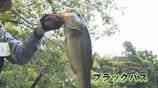 高岡古城公園で外来種の捕獲会　“釣って”生態系を守る　2時間で計42匹捕獲　2年前“目撃情報”アリゲーターガー捕獲できず　富山　|　富山のニュース｜天気・防災｜チューリップテレビ