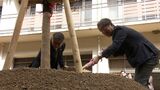「心が和んでいただければ」岡山南ロータリークラブが旭川荘にソメイヨシノ2本を寄贈 春を迎えると施設は一面桜色に【岡山】|TBS NEWS DIG