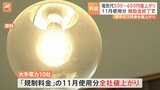 11月の電気代が500円～650円程度値上がりへ　政府の「酷暑対策」補助金終了で|TBS NEWS DIG