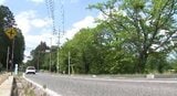 「体長60センチくらいの子グマがいる…」と警察に通報…長野・松川村の県道で目撃、村は捕獲用おり設置…近くの県道沿いには美術館や温泉施設、観光客が多いエリア…クマは見つからず|TBS NEWS DIG