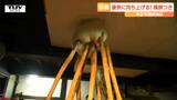 漢たちが心をひとつに餅をもちあげる! 約400年続く伝統行事「裸餅つき」 威勢のいい声が響き渡る(山形・米沢市) | 山形のニュース│TUYテレビユー山形