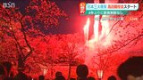 すでに“満開” 今週末が見ごろ『日本三大夜桜』高田城址公園観桜会は12日まで | 新潟のニュース・天気|BSN NEWS|BSN新潟放送