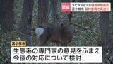ラピダス関連10社進出の美沢地区について苫小牧市“倉庫など建設可”方針見直す「希少鳥類の生息に影響を及ぼすおそれ」野鳥の会などの声を受け|TBS NEWS DIG