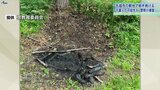 世界遺産「毛越寺」で不審火か 岩手・平泉町 木が焼ける被害相次ぐ 建造物は無事|TBS NEWS DIG