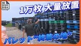 荷物を運んだあと管理されない「パレット」が沖縄の離島に大量放置、撤去しても数年で再び1万枚… 住民は台風時の飛散など不安視 | 沖縄のニュース|RBC 琉球放送