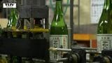 立春にしぼられる特別な日本酒　春の訪れを祝う縁起物「立春朝搾り」の出荷作業（山形・寒河江市）　|TBS NEWS DIG