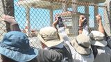抗議の座り込み開始から7月7日で10年 辺野古への基地移設に反対してフェンス沿いに人間の鎖 | 沖縄のニュース|RBC 琉球放送