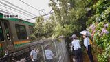 東京・北区の公園で倒木 “湘南新宿ライン”の電車と接触 一時運転見合わせる けが人なし|TBS NEWS DIG