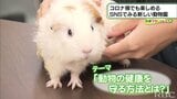 沖縄こどもの国 コロナ禍の奮闘【わがまちLink41】 | 沖縄のニュース|RBC 琉球放送