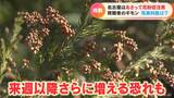 名古屋は「3月3日に要注意」 花粉が大量飛散の恐れ 耳鼻科医に聞く「対策法」は! | 名古屋・愛知・岐阜・三重のニュース【CBC news】 | CBC web