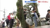 茅の輪をくぐって残り半年の健康を願う「輪くぐりさん」 広島・三次市の神社|TBS NEWS DIG