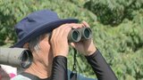 「かっこいいよ、近くで見たら」今がピーク ハチクマの渡り 待ちわびた愛好家から歓声 | 福岡のニュース|RKB NEWS|RKB毎日放送