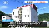 成獣のクマ1頭を駆除・数日前から複数の目撃情報 長野・木曽町|TBS NEWS DIG