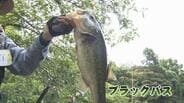 高岡古城公園で外来種の捕獲会 “釣って”生態系を守る 2時間で計42匹捕獲 2年前“目撃情報”アリゲーターガー捕獲できず 富山 | 富山のニュース|天気・防災|チューリップテレビ