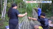 人気のフルーツ「アサイー」世界的ブーム　収穫現場ブラジルでの光と影　子供が収穫の担い手に「児童労働」と問題視も…|TBS NEWS DIG