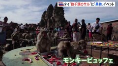 数千頭のサルにバナナなど総額約130万円振る舞う　タイで「モンキービュッフェ」開催| TBS CROSS DIG with Bloomberg
