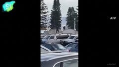 豪シドニーの名所ボンダイビーチで銃撃事件 11人死亡 ユダヤ教の祭り開催中に、容疑者のうち1人射殺　容疑者の車両から爆発装置| TBS CROSS DIG with Bloomberg