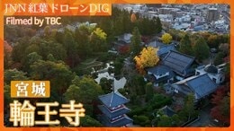 秋深まる 仙台市 北山 輪王寺【JNN 紅葉ドローンDIG 2025】|TBS NEWS DIG