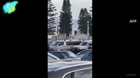 豪シドニーの名所ボンダイビーチで銃撃事件 11人死亡 ユダヤ教の祭り開催中に、容疑者のうち1人射殺 容疑者の車両から爆発装置|TBS NEWS DIG