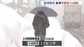 今季「最長寒波」日本海側で大雪続く　交通への影響に厳重警戒　新潟　各地で積雪1メートル超に|TBS NEWS DIG