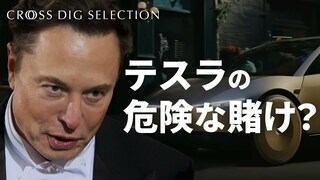 【イーロン・マスクの夢】価格は470万円未満？完全自動運転タクシー発表も…投資家を悩ますワケ| TBS CROSS DIG with Bloomberg