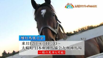 競走馬のふるさと」大崎町・鹿児島【亀ちゃんのかごしま撮った