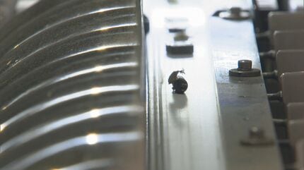 ごみ”から大量の金が!? パソコン基板1トンから天然金鉱山の数十倍の金